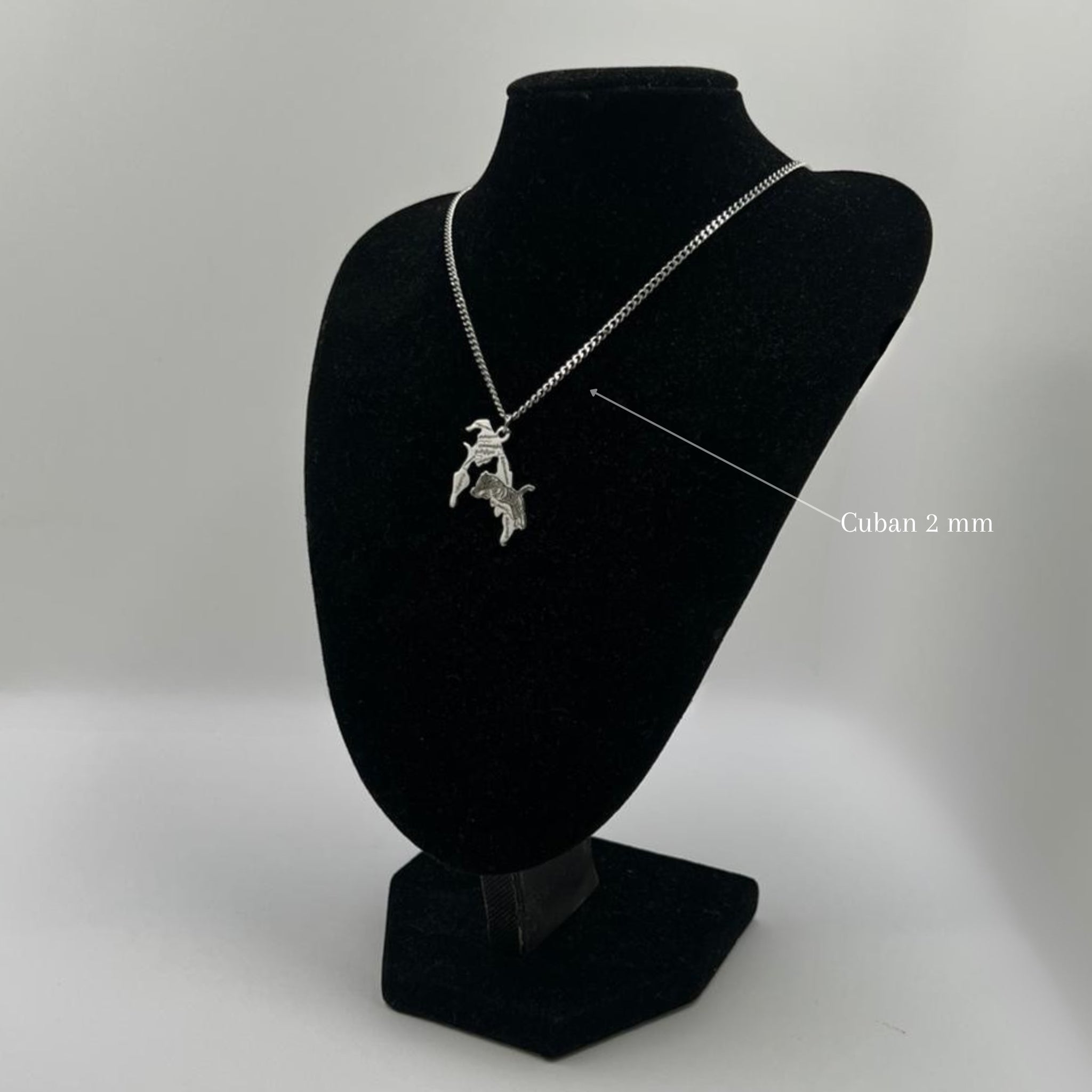 Tamil Eelam - Tigre - Villes