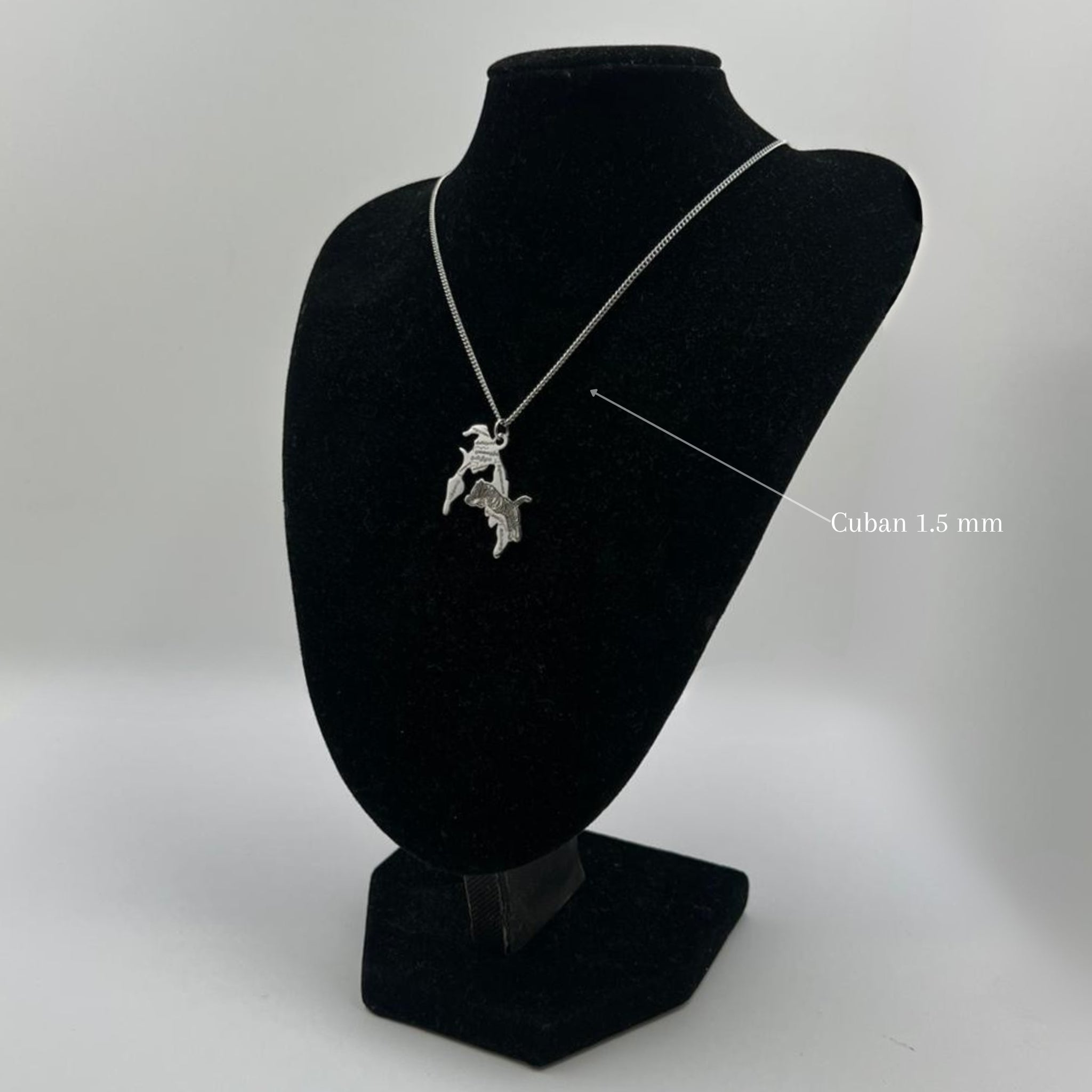 Tamil Eelam - Tigre - Villes